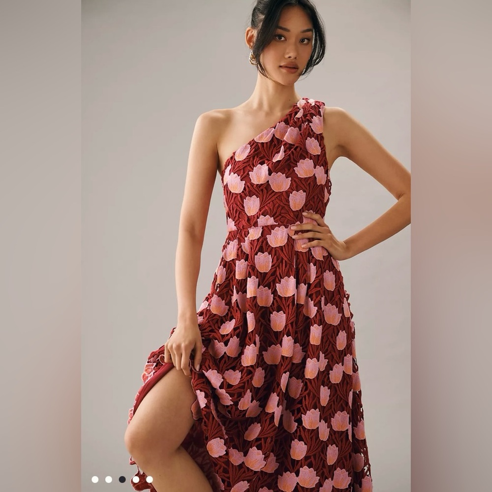 Anthropologie One-Shoulder Midi Dress in Wine and Blush Floral